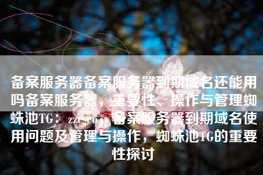 备案服务器备案服务器到期域名还能用吗备案服务器，重要性、操作与管理蜘蛛池TG：zzcseo，备案服务器到期域名使用问题及管理与操作，蜘蛛池TG的重要性探讨