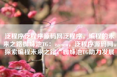泛程序泛程序源码网泛程序，编程的未来之路蜘蛛池TG：zzcseo，泛程序源码网，探索编程未来之路，蜘蛛池TG助力发展