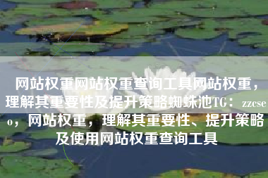 网站权重网站权重查询工具网站权重，理解其重要性及提升策略蜘蛛池TG：zzcseo，网站权重，理解其重要性、提升策略及使用网站权重查询工具
