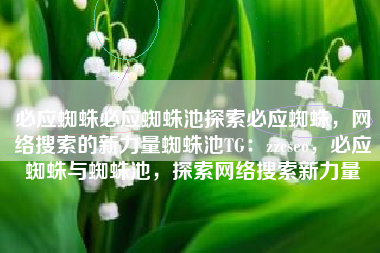 必应蜘蛛必应蜘蛛池探索必应蜘蛛，网络搜索的新力量蜘蛛池TG：zzcseo，必应蜘蛛与蜘蛛池，探索网络搜索新力量