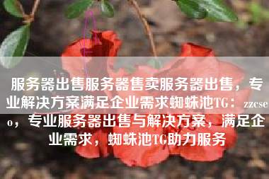 服务器出售服务器售卖服务器出售，专业解决方案满足企业需求蜘蛛池TG：zzcseo，专业服务器出售与解决方案，满足企业需求，蜘蛛池TG助力服务