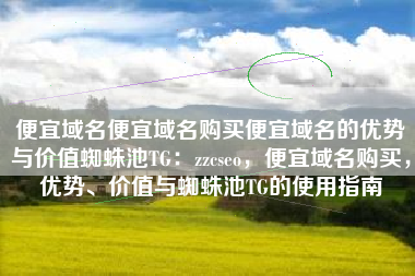 便宜域名便宜域名购买便宜域名的优势与价值蜘蛛池TG：zzcseo，便宜域名购买，优势、价值与蜘蛛池TG的使用指南