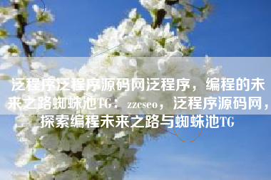 泛程序泛程序源码网泛程序，编程的未来之路蜘蛛池TG：zzcseo，泛程序源码网，探索编程未来之路与蜘蛛池TG
