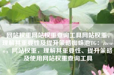 网站权重网站权重查询工具网站权重，理解其重要性及提升策略蜘蛛池TG：zzcseo，网站权重，理解其重要性、提升策略及使用网站权重查询工具