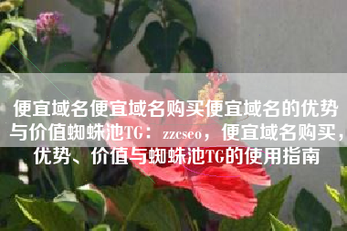 便宜域名便宜域名购买便宜域名的优势与价值蜘蛛池TG：zzcseo，便宜域名购买，优势、价值与蜘蛛池TG的使用指南