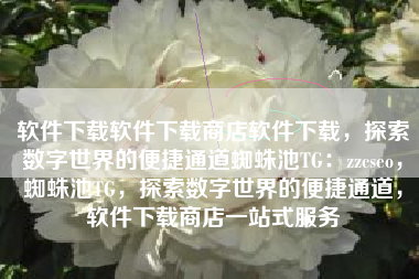 软件下载软件下载商店软件下载，探索数字世界的便捷通道蜘蛛池TG：zzcseo，蜘蛛池TG，探索数字世界的便捷通道，软件下载商店一站式服务