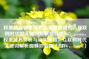 权重域名权重域名购买权重域名，互联网时代的关键词解析蜘蛛池TG：zzcseo，权重域名解析与购买策略，互联网时代关键词解析蜘蛛池指南（附TG，zzcseo）
