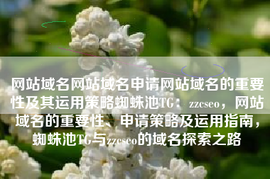 网站域名网站域名申请网站域名的重要性及其运用策略蜘蛛池TG：zzcseo，网站域名的重要性、申请策略及运用指南，蜘蛛池TG与zzcseo的域名探索之路