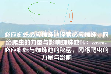 必应蜘蛛必应蜘蛛池探索必应蜘蛛，网络爬虫的力量与影响蜘蛛池TG：zzcseo，必应蜘蛛与蜘蛛池的秘密，网络爬虫的力量与影响