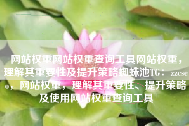 网站权重网站权重查询工具网站权重，理解其重要性及提升策略蜘蛛池TG：zzcseo，网站权重，理解其重要性、提升策略及使用网站权重查询工具