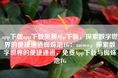 app下载app下载免费App下载，探索数字世界的便捷通道蜘蛛池TG：zzcseo，探索数字世界的便捷通道，免费App下载与蜘蛛池TG