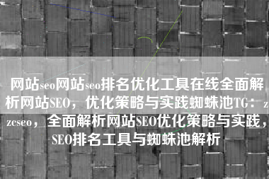 网站seo网站seo排名优化工具在线全面解析网站SEO，优化策略与实践蜘蛛池TG：zzcseo，全面解析网站SEO优化策略与实践，SEO排名工具与蜘蛛池解析