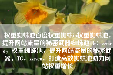 权重蜘蛛池百度权重蜘蛛ip权重蜘蛛池，提升网站流量的秘密武器蜘蛛池TG：zzcseo，权重蜘蛛池，提升网站流量的秘密武器，TG，zzcseo，打造高效蜘蛛池助力网站权重增长