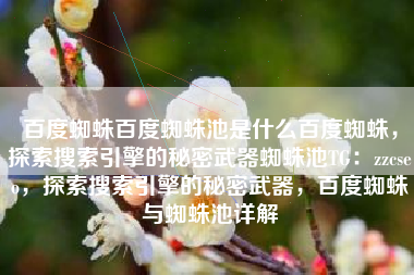 百度蜘蛛百度蜘蛛池是什么百度蜘蛛，探索搜索引擎的秘密武器蜘蛛池TG：zzcseo，探索搜索引擎的秘密武器，百度蜘蛛与蜘蛛池详解