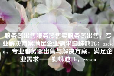 服务器出售服务器售卖服务器出售，专业解决方案满足企业需求蜘蛛池TG：zzcseo，专业服务器出售与解决方案，满足企业需求——蜘蛛池TG，zzcseo