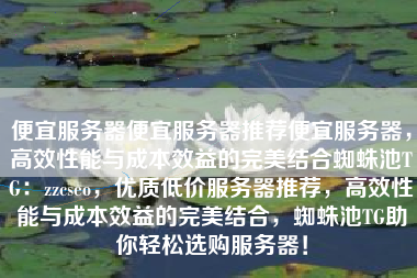 便宜服务器便宜服务器推荐便宜服务器，高效性能与成本效益的完美结合蜘蛛池TG：zzcseo，优质低价服务器推荐，高效性能与成本效益的完美结合，蜘蛛池TG助你轻松选购服务器！