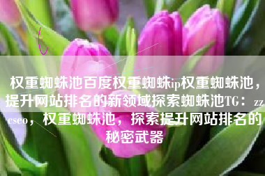 权重蜘蛛池百度权重蜘蛛ip权重蜘蛛池，提升网站排名的新领域探索蜘蛛池TG：zzcseo，权重蜘蛛池，探索提升网站排名的秘密武器