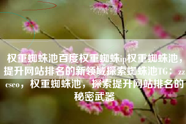 权重蜘蛛池百度权重蜘蛛ip权重蜘蛛池，提升网站排名的新领域探索蜘蛛池TG：zzcseo，权重蜘蛛池，探索提升网站排名的秘密武器