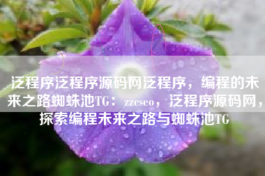 泛程序泛程序源码网泛程序，编程的未来之路蜘蛛池TG：zzcseo，泛程序源码网，探索编程未来之路与蜘蛛池TG