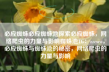 必应蜘蛛必应蜘蛛池探索必应蜘蛛，网络爬虫的力量与影响蜘蛛池TG：zzcseo，必应蜘蛛与蜘蛛池的秘密，网络爬虫的力量与影响