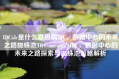 IDCidc是什么意思啊IDC，数据中心的未来之路蜘蛛池TG：zzcseo，IDC，数据中心的未来之路探索与蜘蛛池策略解析
