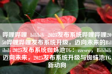 哔哩哔哩_bilibili_2025发布系统哔哩哔哩2050哔哩哔哩发布系统升级，迈向未来的Bilibili 2025发布系统蜘蛛池TG：zzcseo，Bilibili迈向未来，2025发布系统升级与蜘蛛池TG新动向