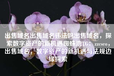 出售域名出售域名违法吗出售域名，探索数字资产的新机遇蜘蛛池TG：zzcseo，出售域名，数字资产的新机遇与法规边缘探索
