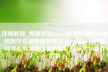 详细教程_哔哩哔哩bilibili教程哔哩哔哩视频制作详细教程蜘蛛池TG：zzcseo，哔哩哔哩视频制作详细教程，蜘蛛池TG操作指南