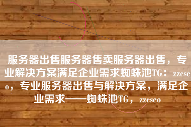 服务器出售服务器售卖服务器出售，专业解决方案满足企业需求蜘蛛池TG：zzcseo，专业服务器出售与解决方案，满足企业需求——蜘蛛池TG，zzcseo