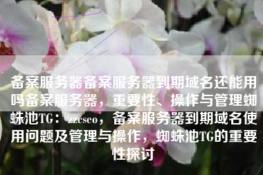 备案服务器备案服务器到期域名还能用吗备案服务器，重要性、操作与管理蜘蛛池TG：zzcseo，备案服务器到期域名使用问题及管理与操作，蜘蛛池TG的重要性探讨