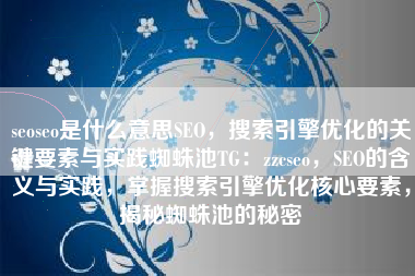 seoseo是什么意思SEO，搜索引擎优化的关键要素与实践蜘蛛池TG：zzcseo，SEO的含义与实践，掌握搜索引擎优化核心要素，揭秘蜘蛛池的秘密