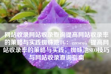 网站收录网站收录查询提高网站收录率的策略与实践蜘蛛池TG：zzcseo，提高网站收录率的策略与实践，蜘蛛池SEO技巧与网站收录查询指南