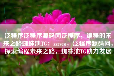 泛程序泛程序源码网泛程序，编程的未来之路蜘蛛池TG：zzcseo，泛程序源码网，探索编程未来之路，蜘蛛池TG助力发展