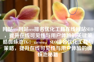 网站seo网站seo排名优化工具在线网站SEO，提升在线可见性与用户体验的关键策略蜘蛛池TG：zzcseo，SEO排名优化工具与策略，提升在线可见性与用户体验的蜘蛛池秘籍