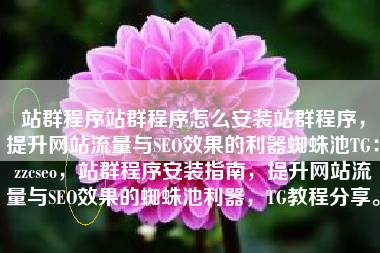 站群程序站群程序怎么安装站群程序，提升网站流量与SEO效果的利器蜘蛛池TG：zzcseo，站群程序安装指南，提升网站流量与SEO效果的蜘蛛池利器，TG教程分享。