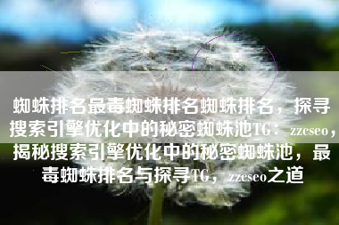 蜘蛛排名最毒蜘蛛排名蜘蛛排名，探寻搜索引擎优化中的秘密蜘蛛池TG：zzcseo，揭秘搜索引擎优化中的秘密蜘蛛池，最毒蜘蛛排名与探寻TG，zzcseo之道