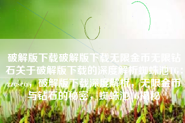 破解版下载破解版下载无限金币无限钻石关于破解版下载的深度解析蜘蛛池TG：zzcseo，破解版下载深度解析，无限金币与钻石的秘密，蜘蛛池TG揭秘