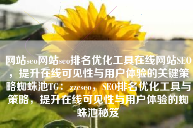网站seo网站seo排名优化工具在线网站SEO，提升在线可见性与用户体验的关键策略蜘蛛池TG：zzcseo，SEO排名优化工具与策略，提升在线可见性与用户体验的蜘蛛池秘笈