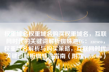 权重域名权重域名购买权重域名，互联网时代的关键词解析蜘蛛池TG：zzcseo，权重域名解析与购买策略，互联网时代关键词解析蜘蛛池指南（附TG，zzcseo）