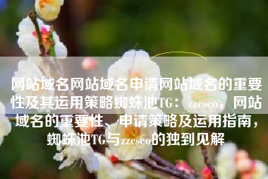 网站域名网站域名申请网站域名的重要性及其运用策略蜘蛛池TG：zzcseo，网站域名的重要性、申请策略及运用指南，蜘蛛池TG与zzcseo的独到见解