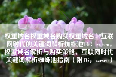 权重域名权重域名购买权重域名，互联网时代的关键词解析蜘蛛池TG：zzcseo，权重域名解析与购买策略，互联网时代关键词解析蜘蛛池指南（附TG，zzcseo）