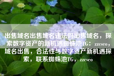 出售域名出售域名违法吗出售域名，探索数字资产的新机遇蜘蛛池TG：zzcseo，域名出售，合法性与数字资产新机遇探索，联系蜘蛛池TG，zzcseo