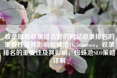 收录排名收录排名好的网站收录排名的重要性及其影响蜘蛛池TG：zzcseo，收录排名的重要性及其影响，蜘蛛池SEO策略详解