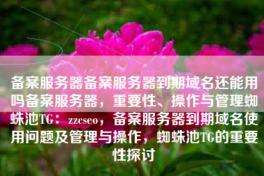 备案服务器备案服务器到期域名还能用吗备案服务器，重要性、操作与管理蜘蛛池TG：zzcseo，备案服务器到期域名使用问题及管理与操作，蜘蛛池TG的重要性探讨