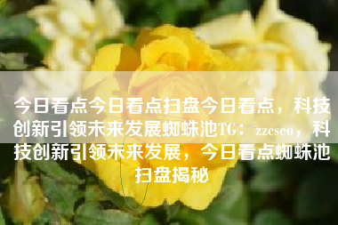 今日看点今日看点扫盘今日看点，科技创新引领未来发展蜘蛛池TG：zzcseo，科技创新引领未来发展，今日看点蜘蛛池扫盘揭秘