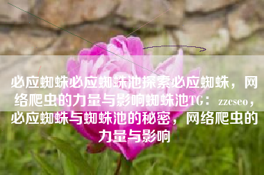 必应蜘蛛必应蜘蛛池探索必应蜘蛛，网络爬虫的力量与影响蜘蛛池TG：zzcseo，必应蜘蛛与蜘蛛池的秘密，网络爬虫的力量与影响