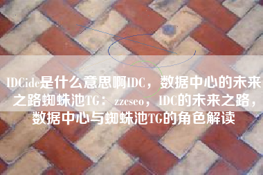 IDCidc是什么意思啊IDC，数据中心的未来之路蜘蛛池TG：zzcseo，IDC的未来之路，数据中心与蜘蛛池TG的角色解读