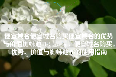 便宜域名便宜域名购买便宜域名的优势与价值蜘蛛池TG：zzcseo，便宜域名购买，优势、价值与蜘蛛池TG的使用指南