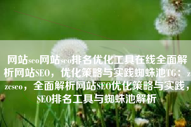 网站seo网站seo排名优化工具在线全面解析网站SEO，优化策略与实践蜘蛛池TG：zzcseo，全面解析网站SEO优化策略与实践，SEO排名工具与蜘蛛池解析