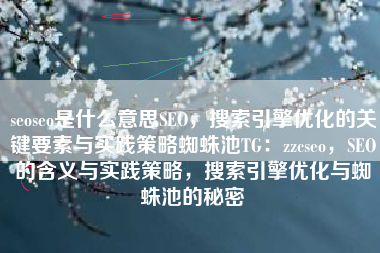 seoseo是什么意思SEO，搜索引擎优化的关键要素与实践策略蜘蛛池TG：zzcseo，SEO的含义与实践策略，搜索引擎优化与蜘蛛池的秘密